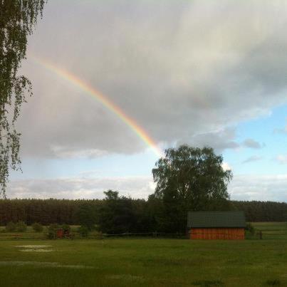 Landhotel Am Peetscher See Mirow Exterior foto